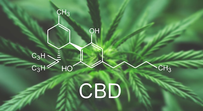 Best CBD oil Deals