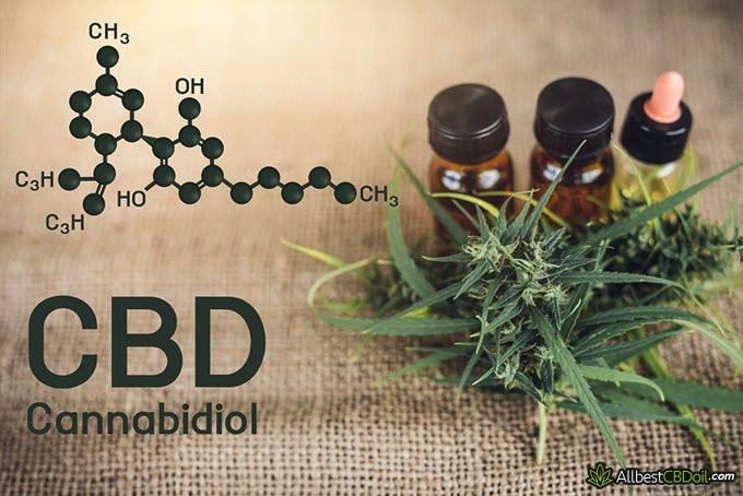 Does CBD Make You Sleepy? Complete Guide (Explained) Does CBD Make You Sleepy? Complete Guide (Explained)