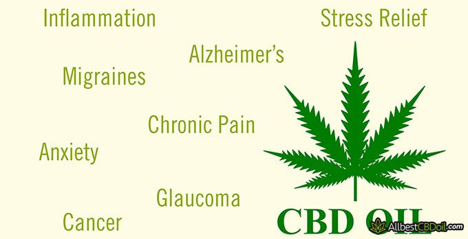 Best CBD oil for migraines: the potentially-positive effects of CBD.