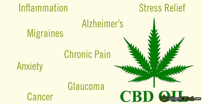 Best CBD oil for ADHD: CBD oil benefits.