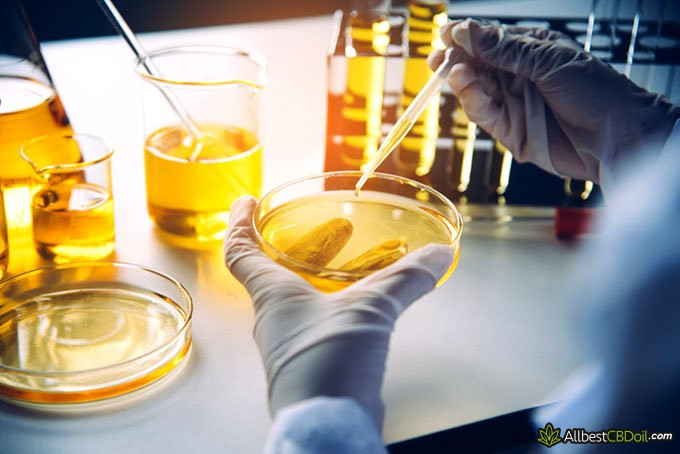 How to extract CBD: CBD oil in laboratory