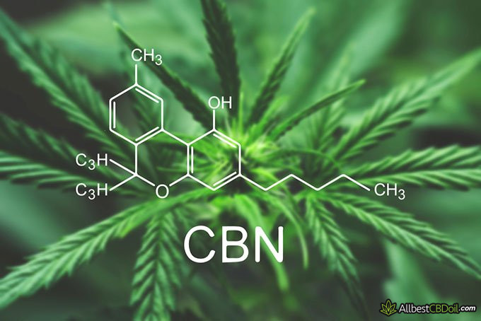 CBN vs CBD: CBN