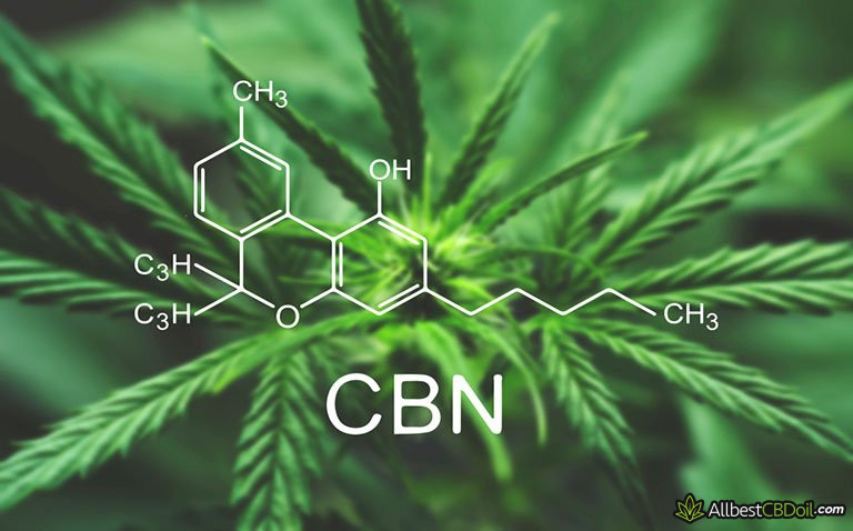 What Is CBN: the Lesser Known Cannabinoid What Is CBN: the Lesser Known Cannabinoid