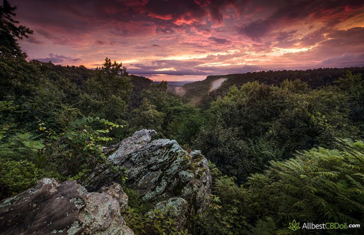 CBD oil Arkansas: Arkansas state park.