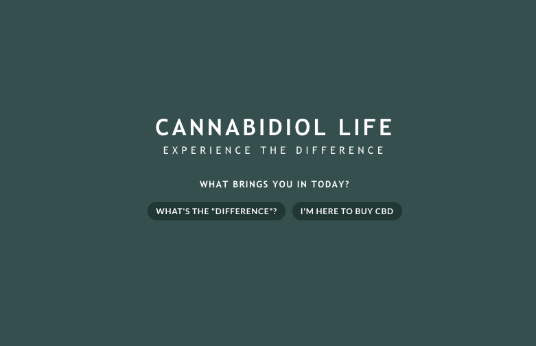 Cannabidiol Life CBD Chocolate Review Cannabidiol Life CBD Chocolate Review