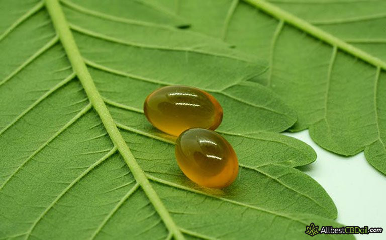 Best CBG Oil: Where Do You Buy It? Best CBG Oil: Where Do You Buy It?