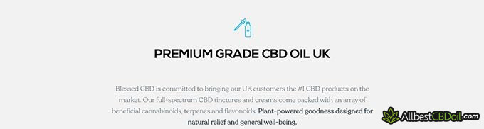 Blessed CBD review: premium grade CBD oil UK.