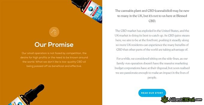 Blessed CBD review: promise.