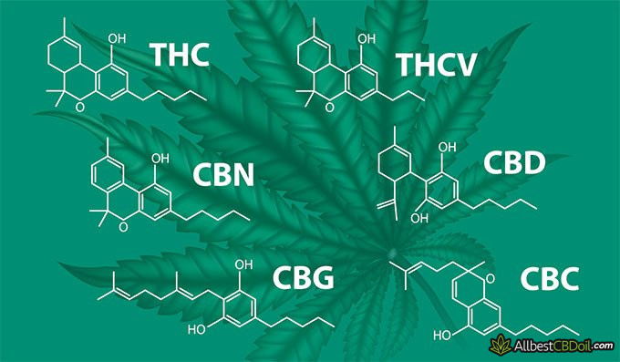 What is CBN: cannabinoids