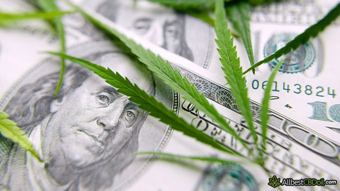 CND Isolate vs Full-spectrum: cannabis leaf on dollars