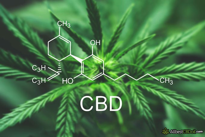 Is CBD addictive: CBD
