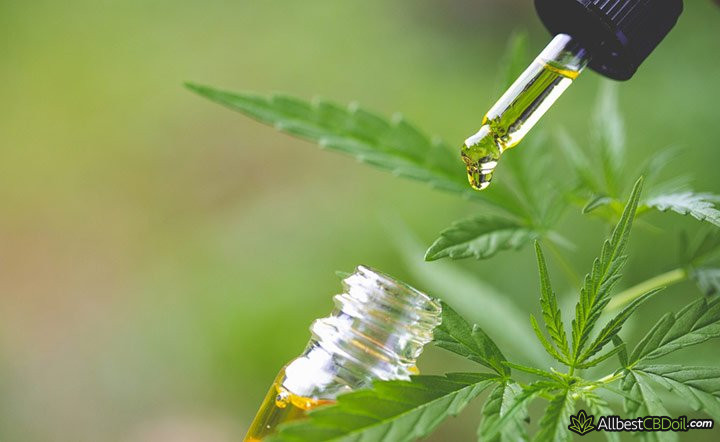 CBD oil Illinois: a CBD oil drop drops into a bottle.