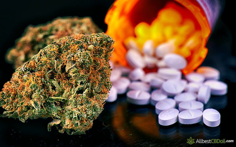 CBD Drug Interactions: Can Drugs Interact with CBD? CBD Drug Interactions: Can Drugs Interact with CBD?