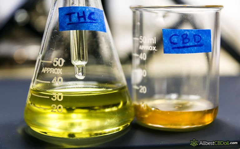 CBD vs THC: All the Differences and Similarities CBD vs THC: All the Differences and Similarities