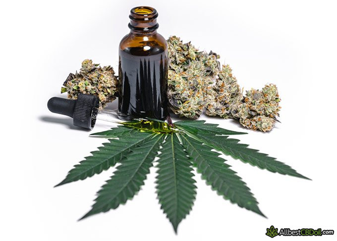 Best CBD oil for inflammation: a CBD bottle and some hemp.