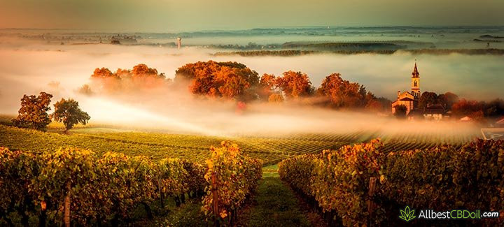 CBD France: a field and a church in France.