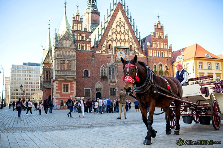 CBD in Europe: Poland.