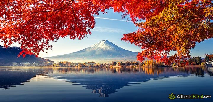 CBD Japan: Mt. Fuji.