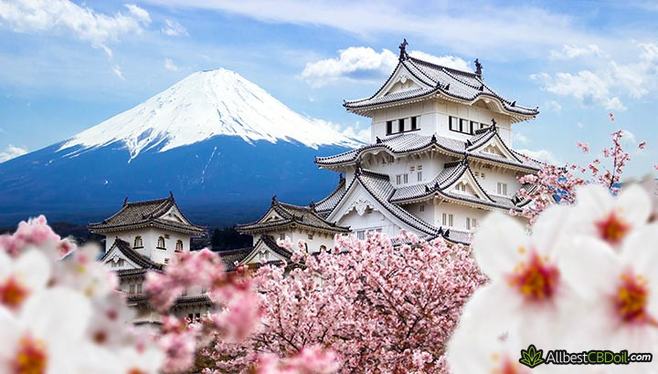 CBD Japan: Himeji castle.