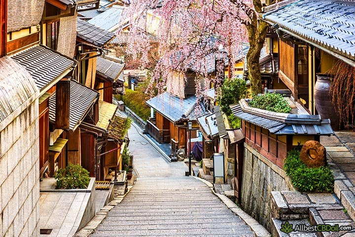 CBD Japan: Kyoto.