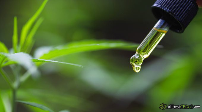 Best CBD oil for migraines: CBD oil drop.