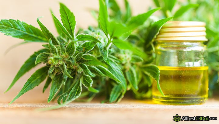 CBD oil Indiana: CBD oil.