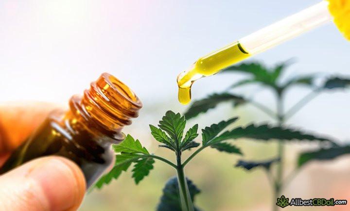 CBD oil Florida: CBD oil.