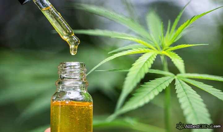 CBD oil Illinois: CBD oil.