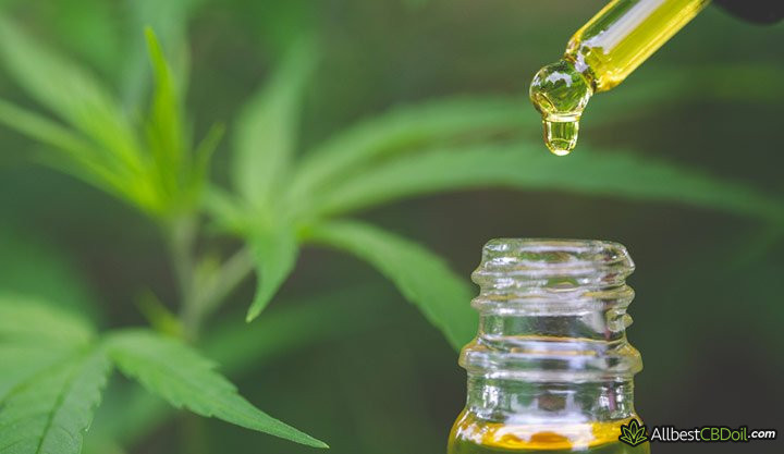 CBD oil Kentucky: a drop of CBD oil.