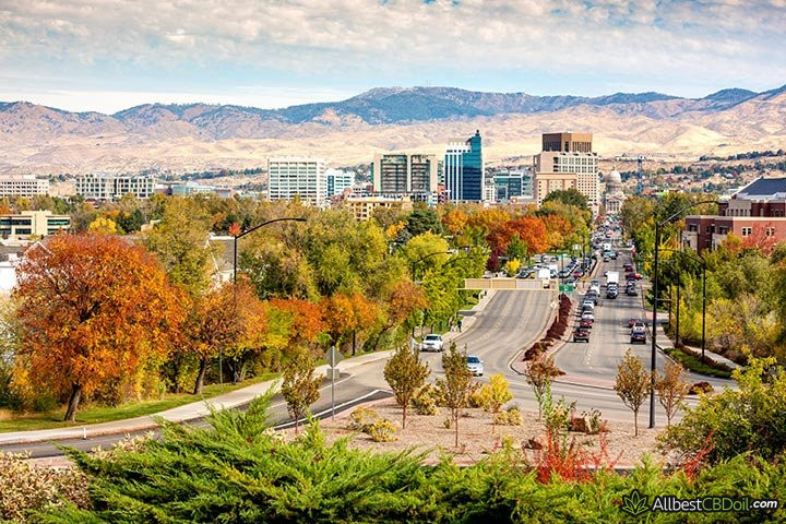 CBD oil Idaho: A city in Autumn.