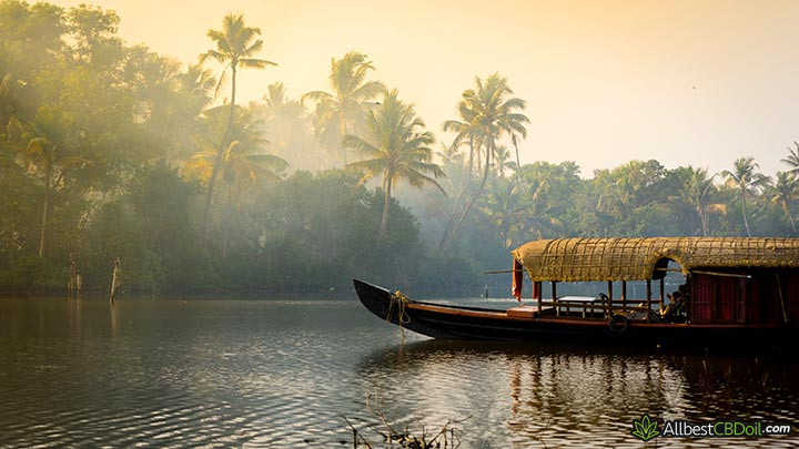 CBD oil India: a traditional India boat.