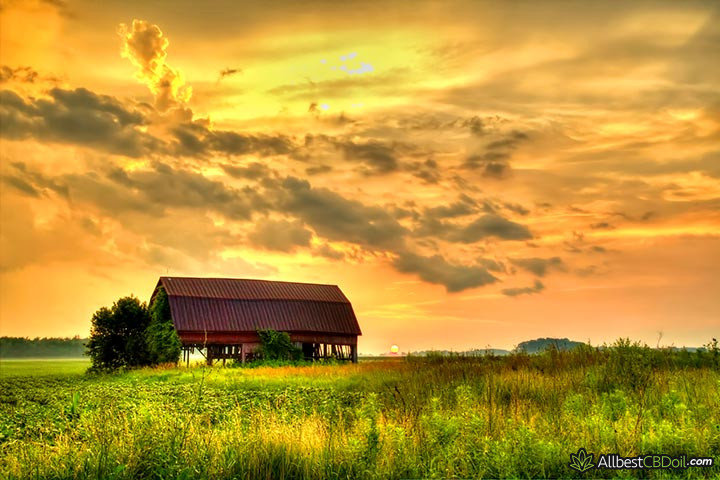 CBD oil Iowa: A farm in Iowa.