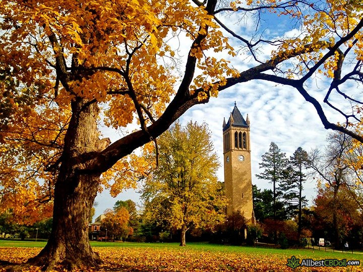 CBD oil Iowa: Des Moines university.