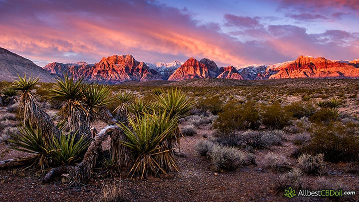 CBD oil Nevada: Red Rock mountains, NV.