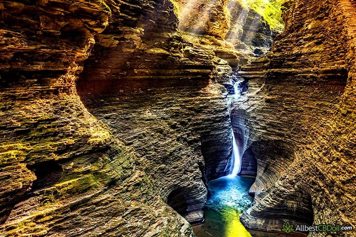 CBD oil New York: Watkins Glen state park.