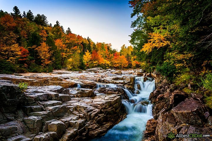 CBD oil NH: Rocky Gorge.