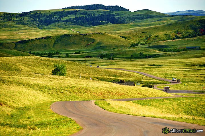 CBD oil South Dakota: Custor park.