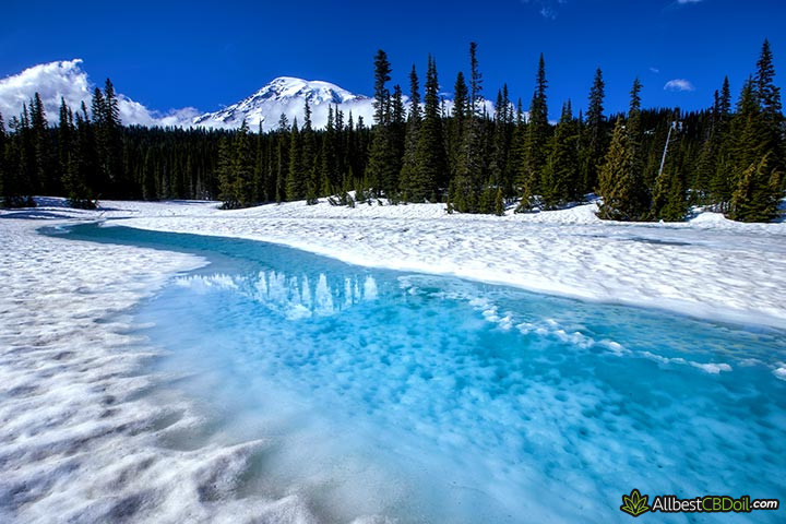 CBD oil Washington: Mount Rainer.