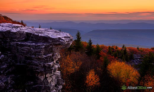 CBD Oil West Virginia: West Virginia state.