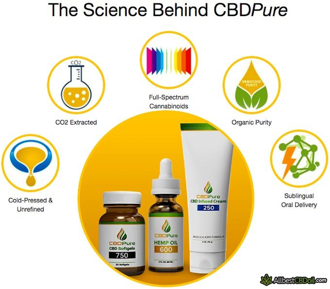 CBD Pure reviews: the benefits of CBD Pure's products.