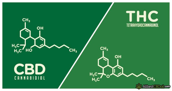 CBD vs THC: molecules