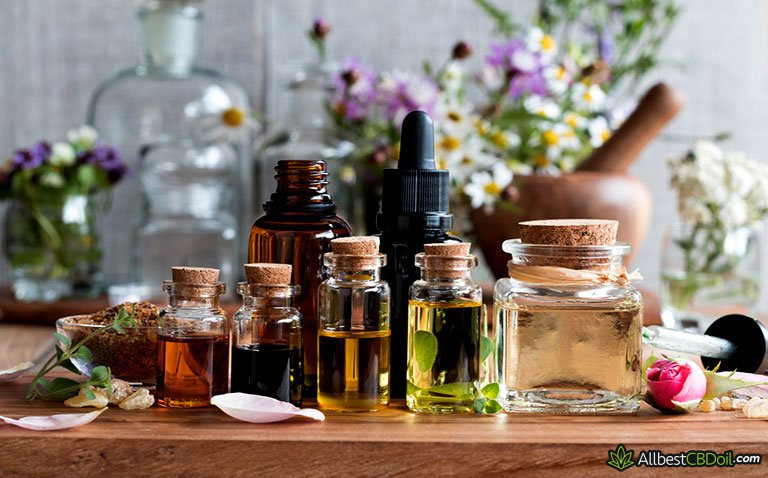 Best Carrier Oil for CBD: Why Does It Matter? Best Carrier Oil for CBD: Why Does It Matter?