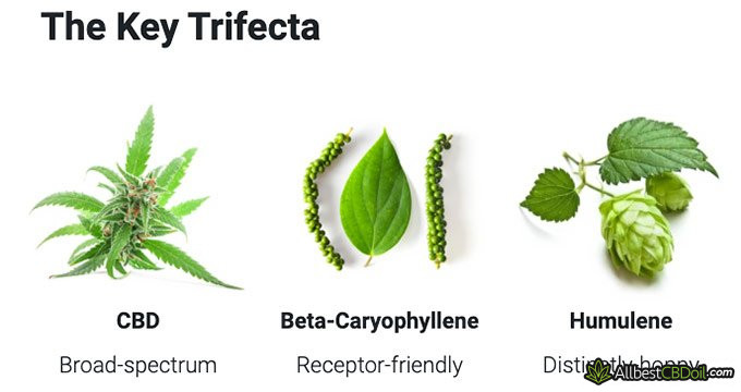 Jilati review: broad-spectrum CBD.