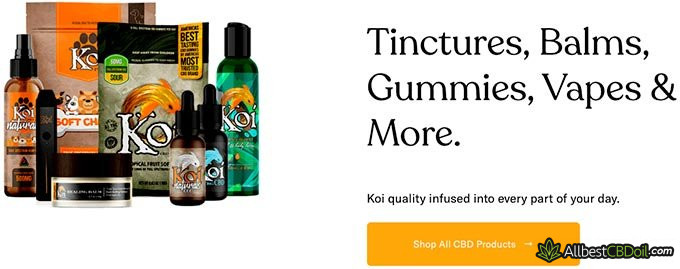 Koi CBD review: tinctures, balms, gummies, vapes & more.