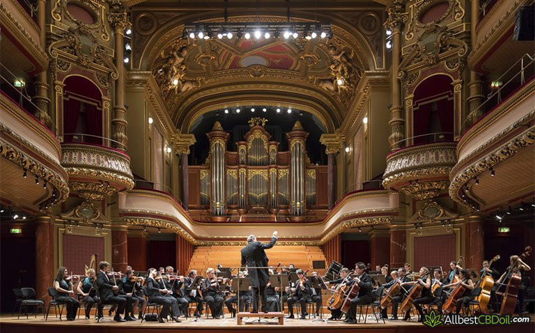 Entourage effect: orchestra in a concert hall Entourage effect: orchestra in a concert hall