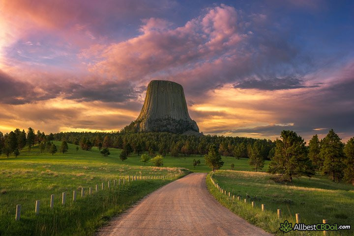 CBD oil Wyoming: a dirt road.